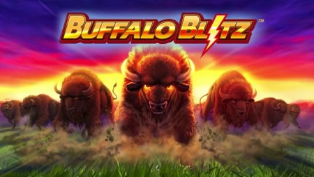 Can-am indoor football league Can-am indoor football league