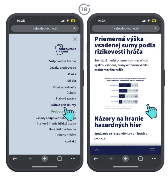 Prieskum rizikovosti hráča Inštitútu pre zodpovedné hranie