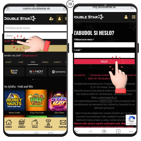 Návod, ako si obnoviť Doublestar zabudnuté heslo.