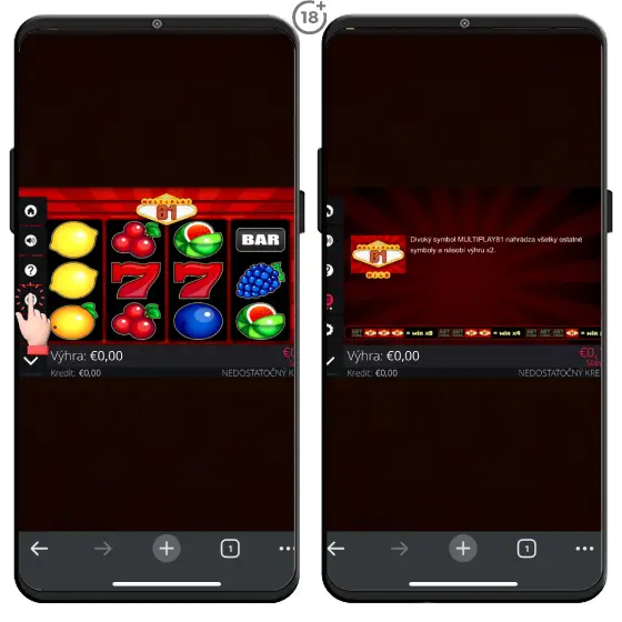 Online automat Multiplay 81 obsahuje bonusovú funkciu v podobe WILD (divokého) symbolu, ktorý nahrádza všetky ostatné symboly a násobí výhry podľa špeciálneho koeficientu.