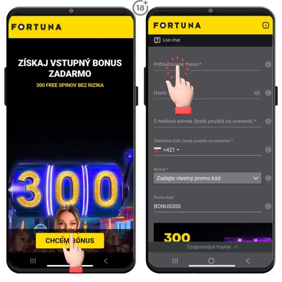 Obrázkový návod, ako vyplniť v prvom kroku registrácie do online casina Fortuna formulár so základnými údajmi, ktoré sa týkajú hráčskeho účtu, ako prihlasovacie meno, heslo či e-mailová adresa.