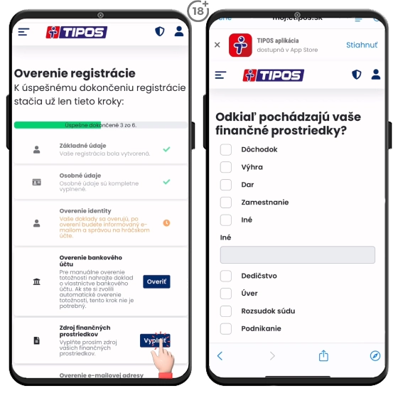 V tomto kroku Tipos registrácie vyplňte zdroj finančných prostriedkov 