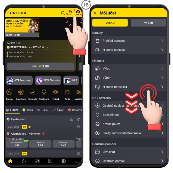 fortuna aplikácia a jej možnosti